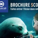 L&rsquo;offre scolaire de Nausicaa